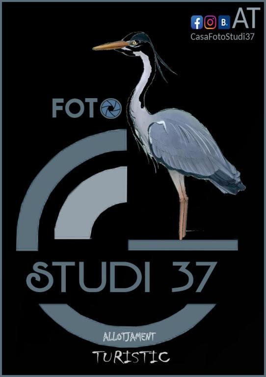 Appartamento Casa Fotostudi37 Deltebre Esterno foto